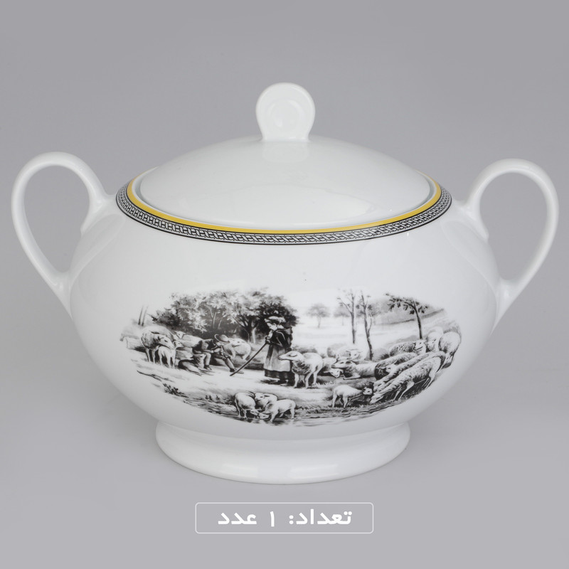 سرویس چینی 102 پارچه غذا خوری چینی زرین ایران سری ایتالیا اف مدل ویلیج درجه یک