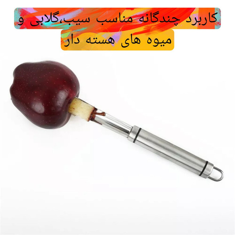 هسته گیر مدل سیب