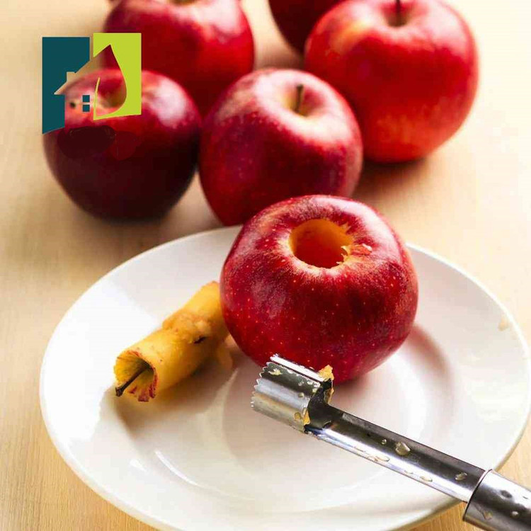 هسته گیر سیب مدل رویال هوم