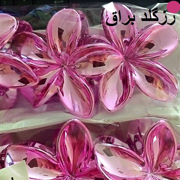 کلیپس مو زنانه مدل گل پلومریا کد 421 بسته 2 عددی