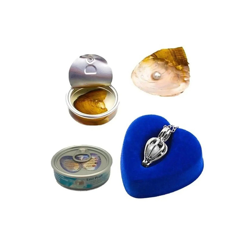 گردنبند زنانه مدل Pearl به همراه صدف مروارید دار