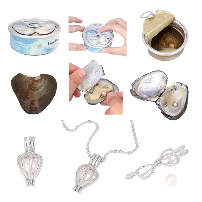 گردنبند زنانه مدل Pearl به همراه صدف مروارید دار