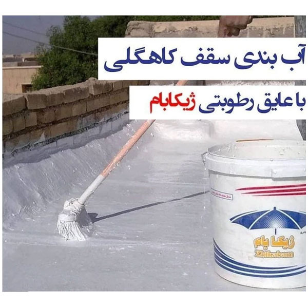 مواد عایق بندی نانو ژیکاوا مدل Zhikabam_AntiBacterial وزن یک کیلوگرم