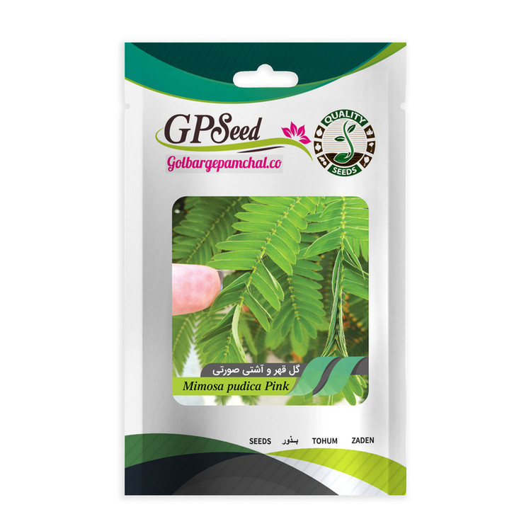 بذر گل های باغچه ای و گلدانی رونده با رویش آسان گلبرگ پامچال کد G-P-GP-012 مجموعه 12 عددی