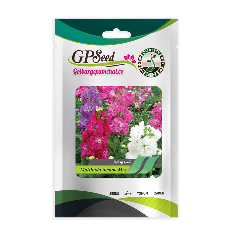 بذر گل شب بو همه رنگ گلدانی گلبرگ پامچال کد G-P-GP-08 مجموعه 8 عددی