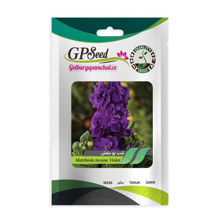 بذر گل شب بو همه رنگ گلدانی گلبرگ پامچال کد G-P-GP-08 مجموعه 8 عددی