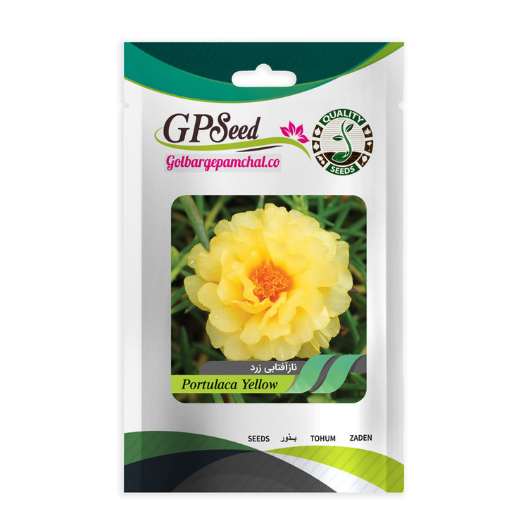 بذر گل ناز آفتابی پرفروش گلدانی گلبرگ پامچال کد G-P-GP-06 مجموعه 6 عددی