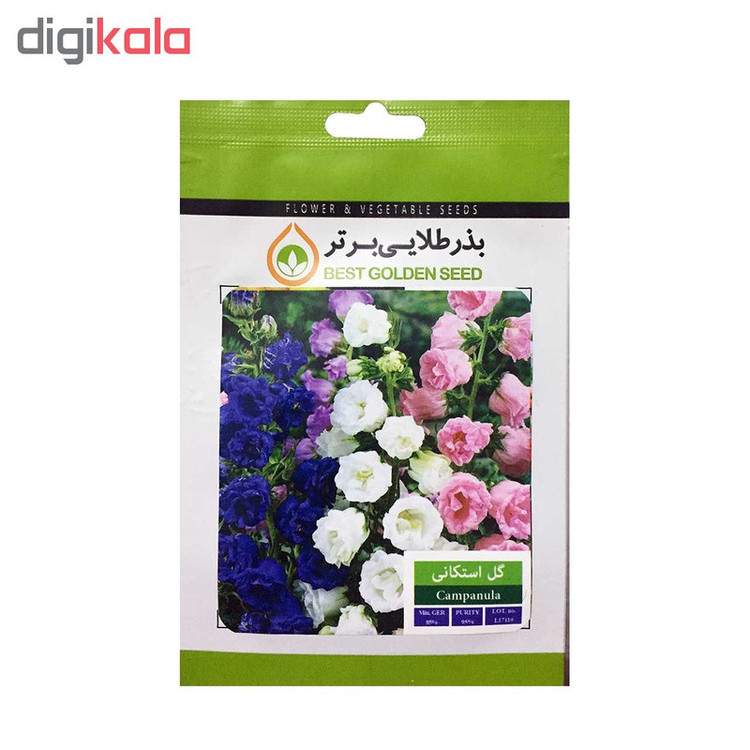 بذر گل استکانی بذر طلایی برتر کد BZT-05