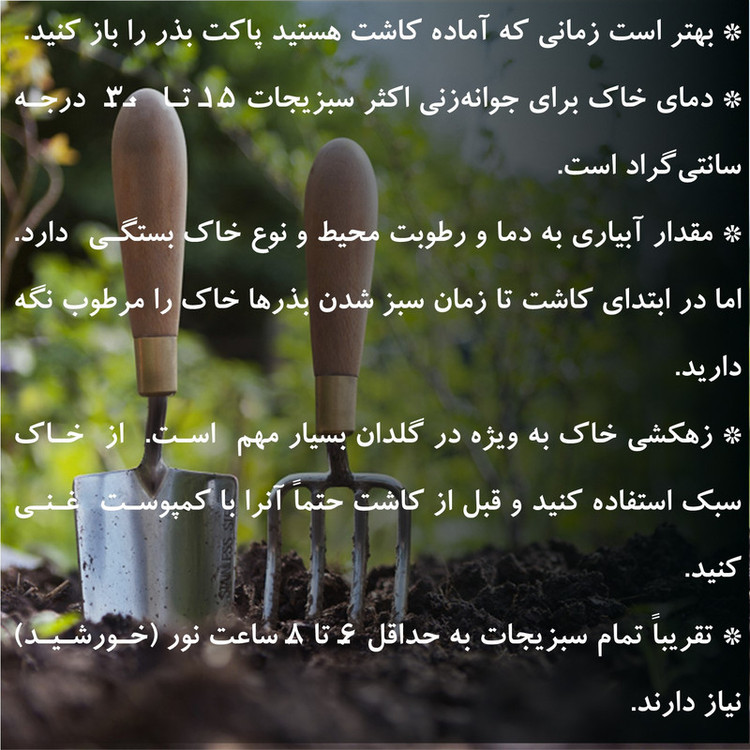بذر سبزیجات گرین سیدز کد 2005 مجموعه 10 عددی