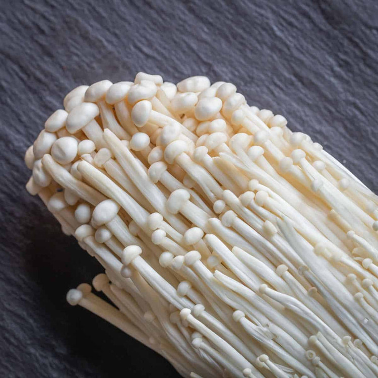 بذر قارچ انوکی لیناز گستر کد 20