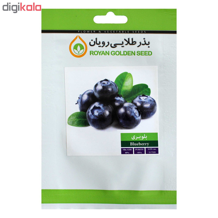بذر میوه بلوبری بذر طلایی رویان کد BZT-131