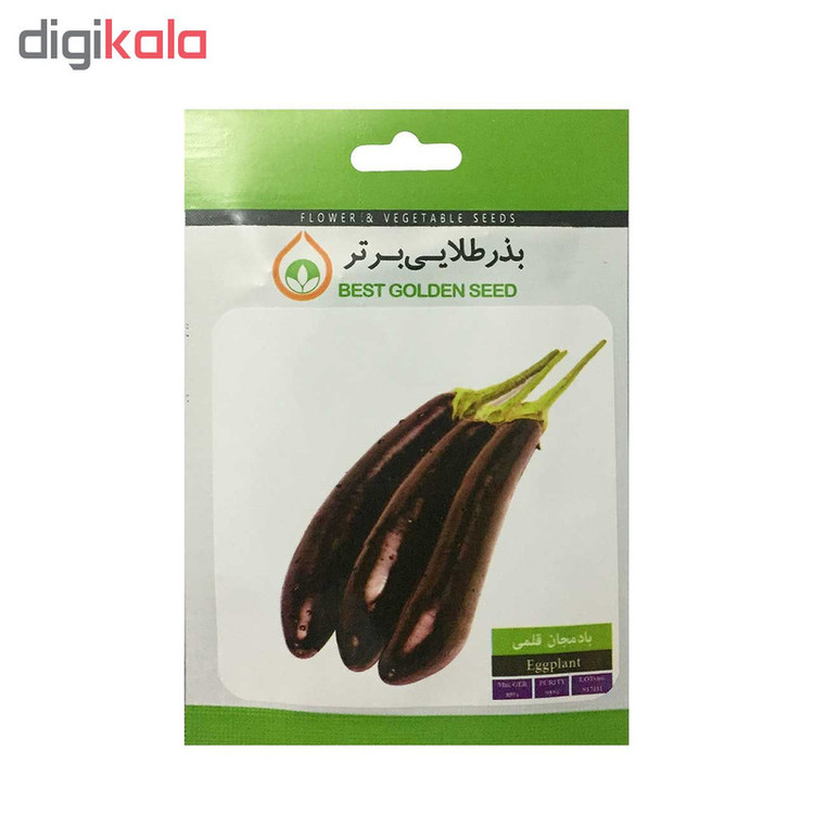 بذر بادمجان قلمی بذر طلایی برتر کد BZT-45