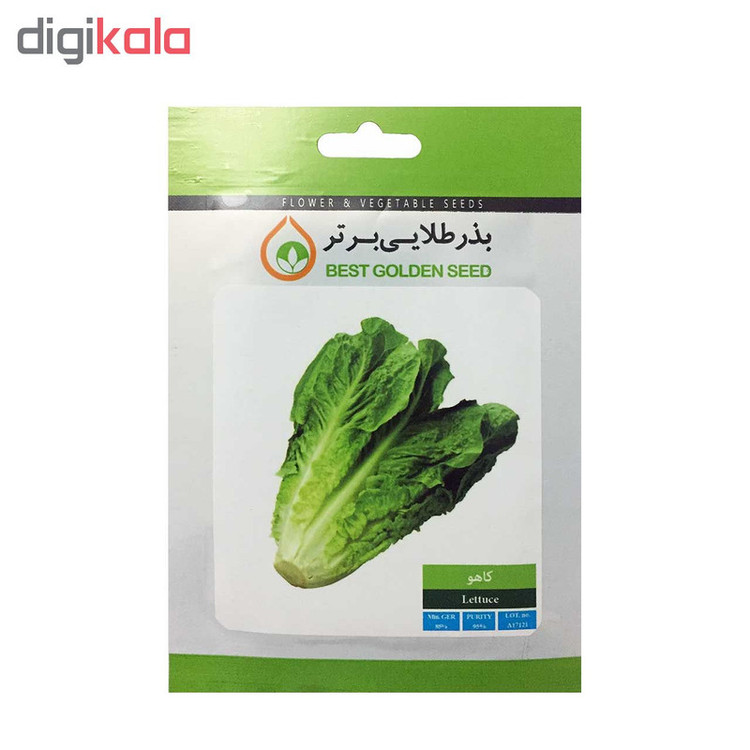 بذر کاهو بذر طلایی برتر کد BZT-72