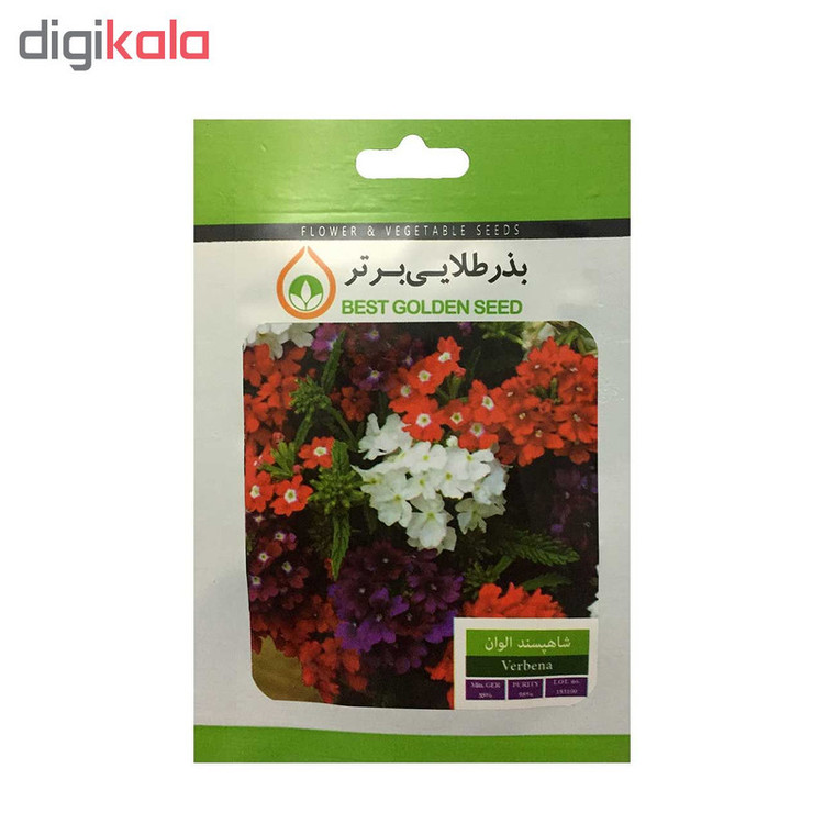 بذر گل بذر طلایی برتر کد P-G-BZT-06 مجموعه 6 عددی