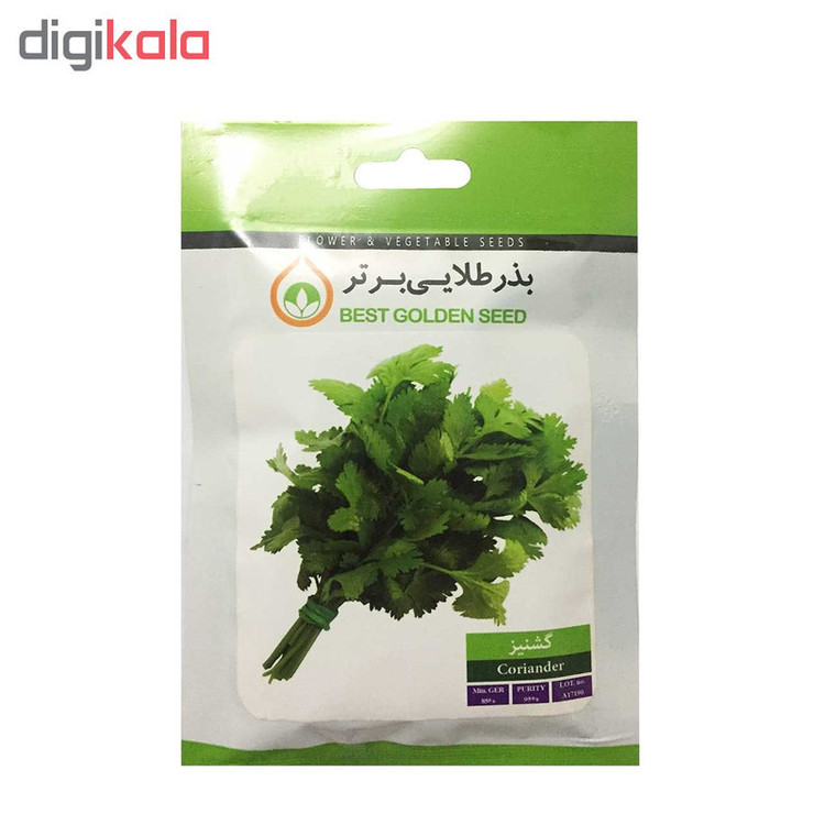 بذر گشنیز بذر طلایی برتر کد BZT-98
