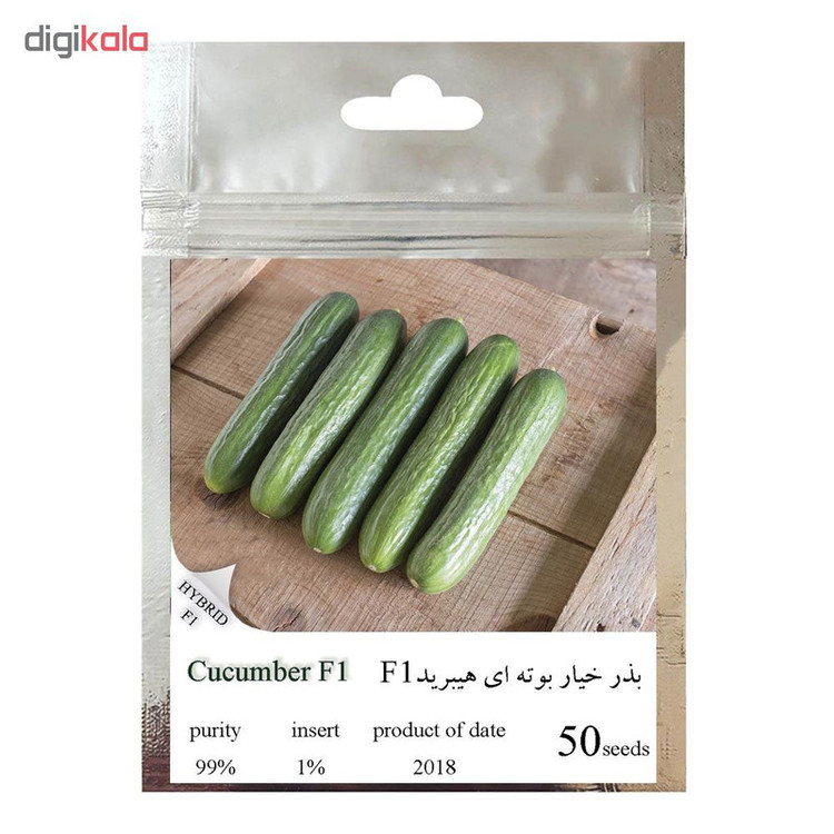 بذر خیار بوته ای هیبرید کد 111