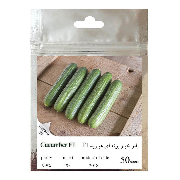 بذر خیار بوته ای هیبرید کد 111