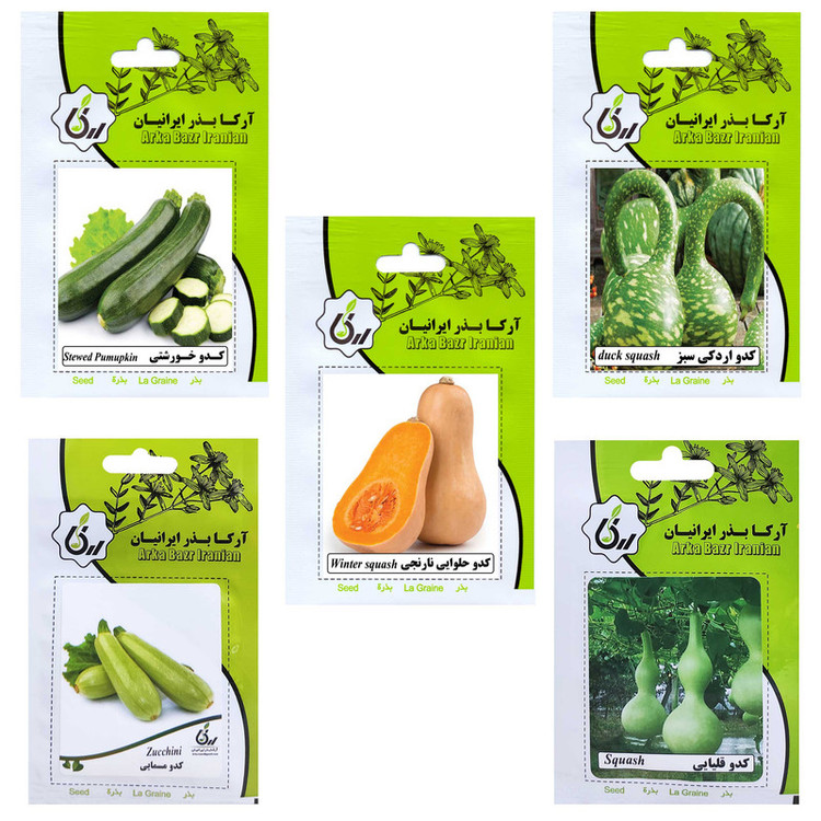 بذر کدو آرکا بذر ایرانیان کد ARK-A-ARK-05 وزن 80 گرم مجموعه 5 عددی