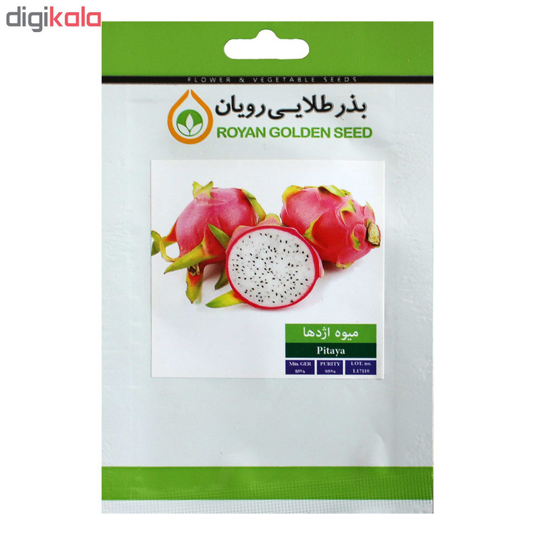 بذر دراگون فروت بذر طلایی رویان کد BZT-132