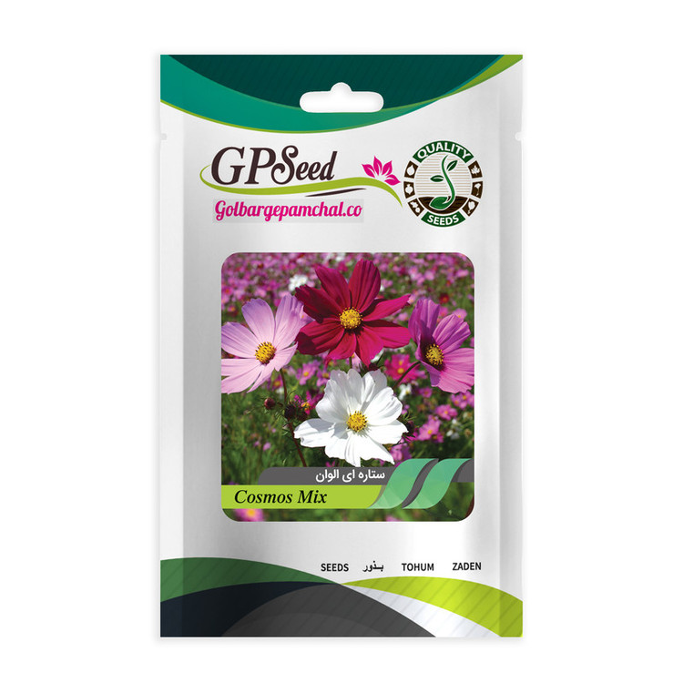 بذر گل های باغچه ای با رویش آسان گلبرگ پامچال کد G-P-GP-012 مجموعه 12 عددی