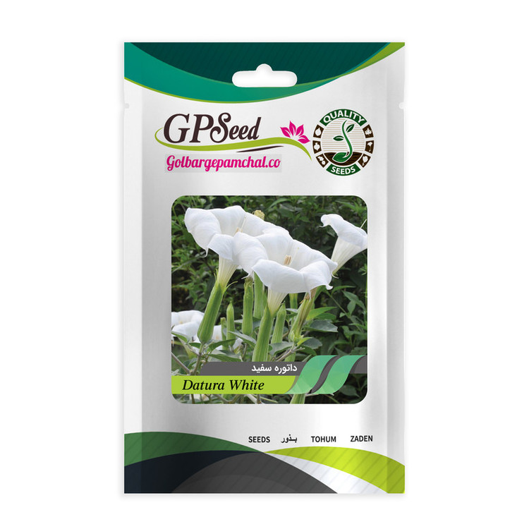 بذر گل های باغچه ای با رویش آسان گلبرگ پامچال کد G-P-GP-012 مجموعه 12 عددی