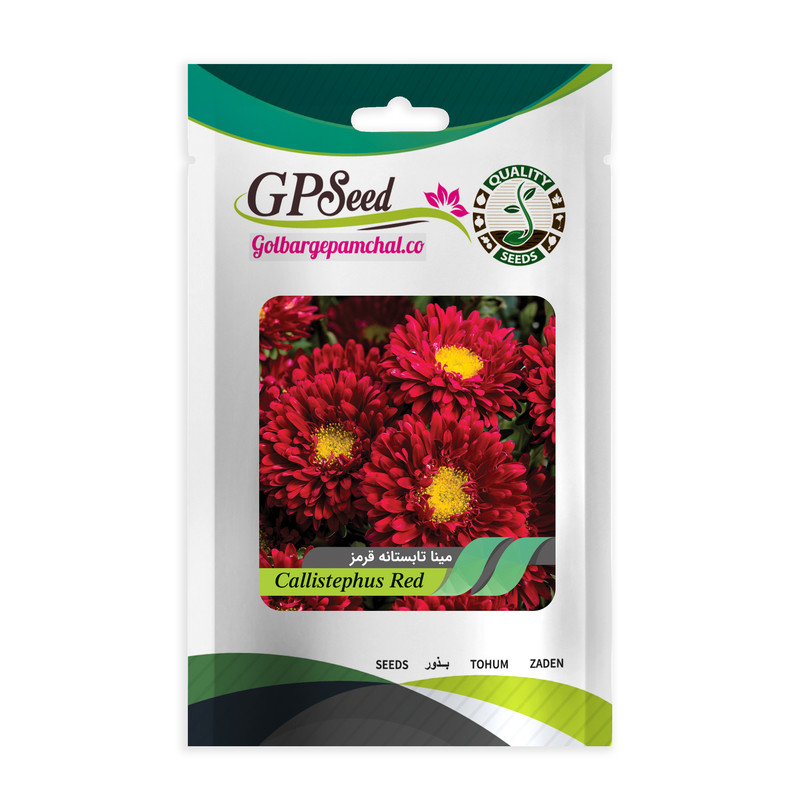 بذر گل مینا تابستانه قرمز گلبرگ پامچال کد GPF-271