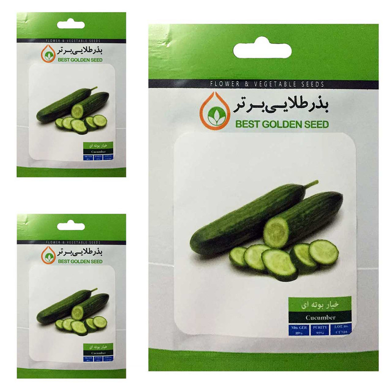بذر خیار بوته ای بذر طلایی برتر کد BTB-53 مجموعه 3 عددی