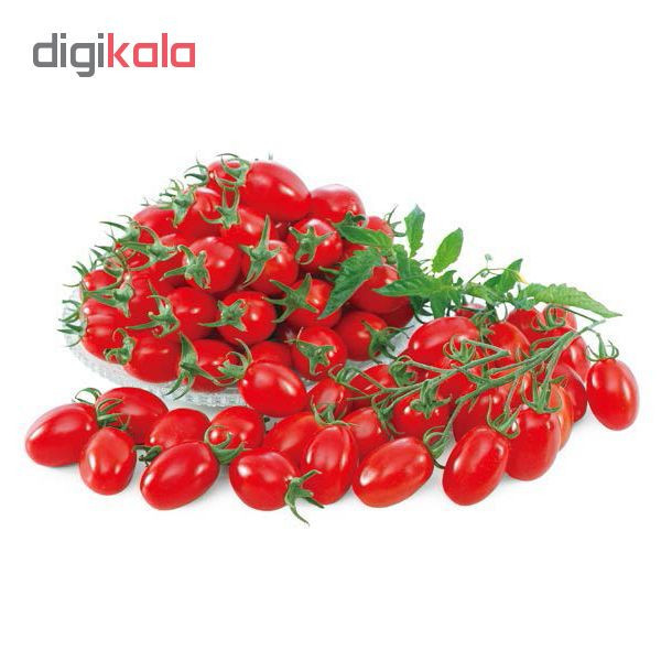 بذر گوجه چری قرمز زیتونی شیرین پالم کد 01 بسته 15 عددی