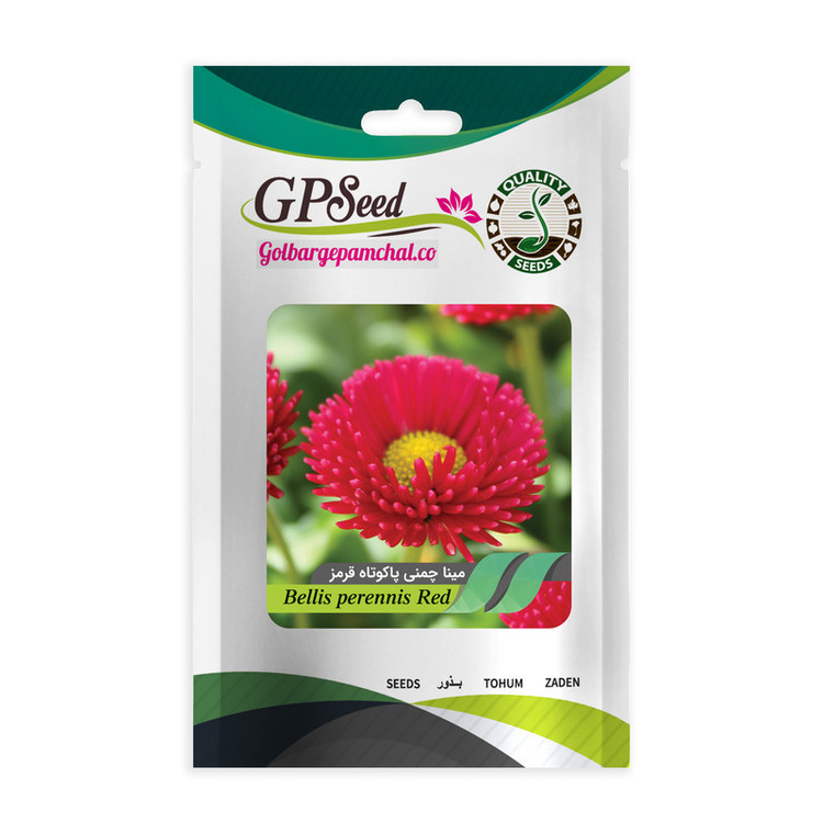 بذر گل مینا و مینا چمنی همه رنگ گلدانی گلبرگ پامچال کد G-P-GP-08 مجموعه 8 عددی