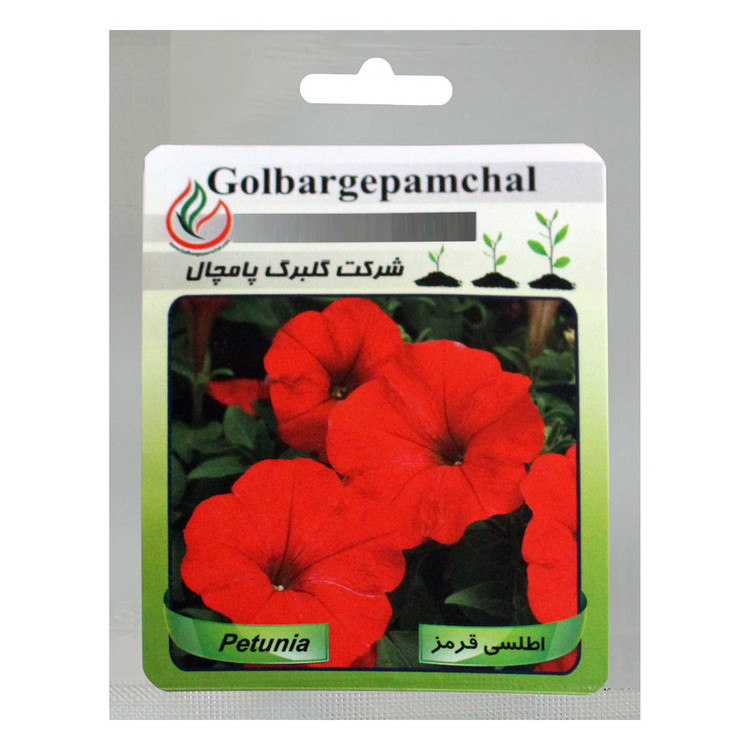 بذر گل اطلسی قرمز گلبرگ پامچال کد GPF-022