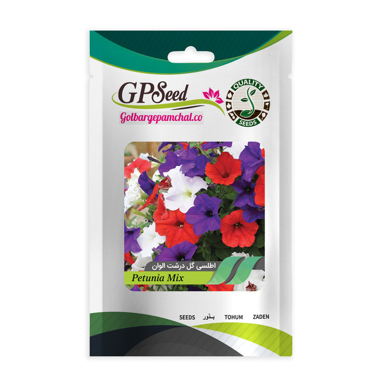 بذر گل اطلسی همه رنگ گلدانی گلبرگ پامچال کد G-P-GP-06 مجموعه 6 عددی