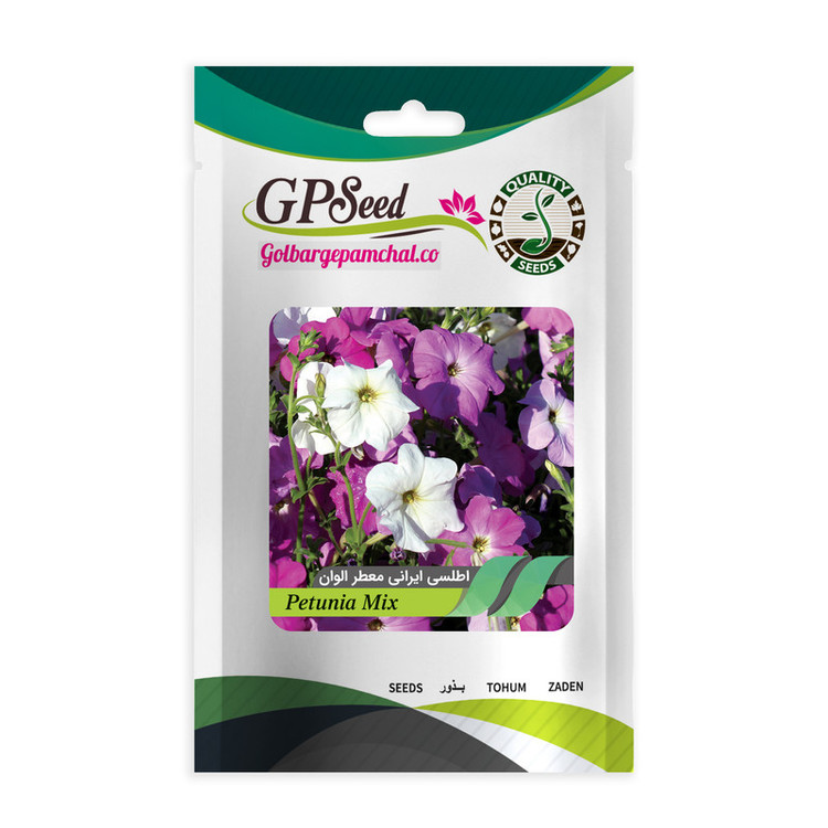 بذر گل اطلسی همه رنگ گلدانی گلبرگ پامچال کد G-P-GP-06 مجموعه 6 عددی