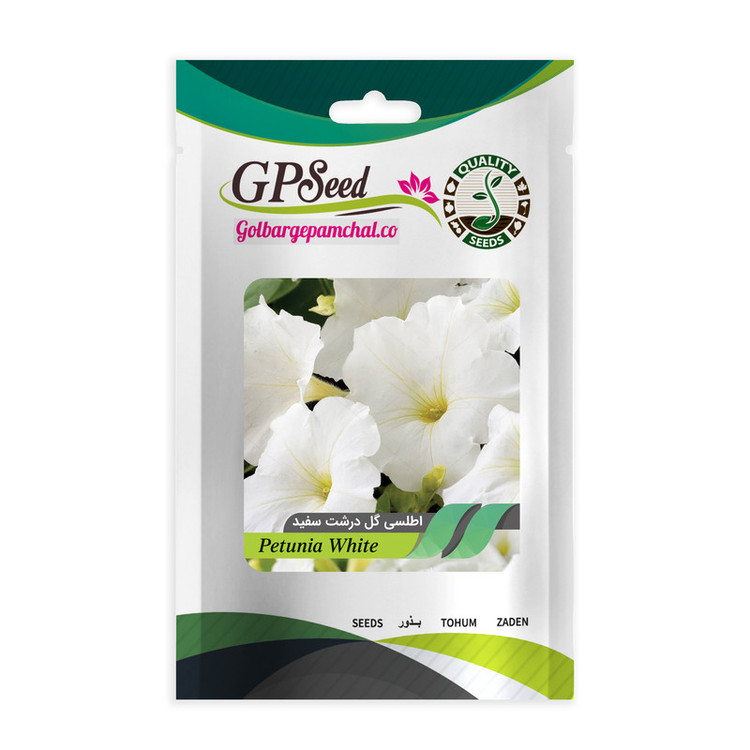 بذر گل اطلسی همه رنگ گلدانی گلبرگ پامچال کد G-P-GP-06 مجموعه 6 عددی
