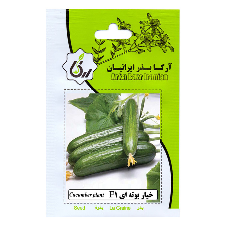 بذر خیار بوته ای F1 آرکا بذر ایرانیان کد 198-ARK