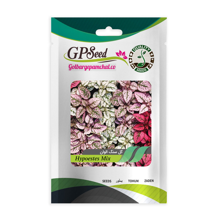 بذر گل های خاص پرمصرف گلدانی گلبرگ پامچال کد G-P-GP-06 مجموعه 6 عددی