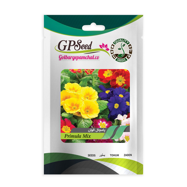 بذر گل های خاص پرمصرف گلدانی گلبرگ پامچال کد G-P-GP-06 مجموعه 6 عددی