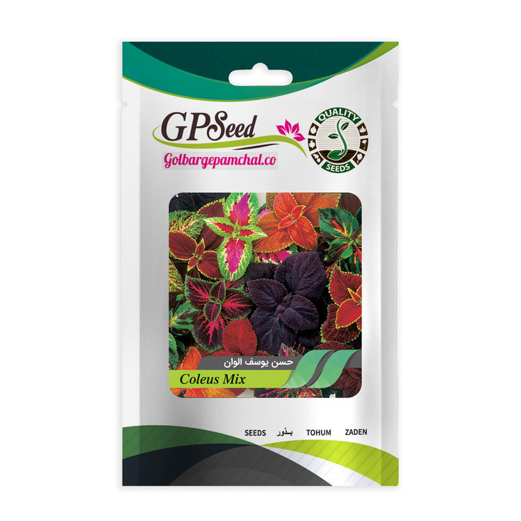 بذر گل های خاص پرمصرف گلدانی گلبرگ پامچال کد G-P-GP-06 مجموعه 6 عددی