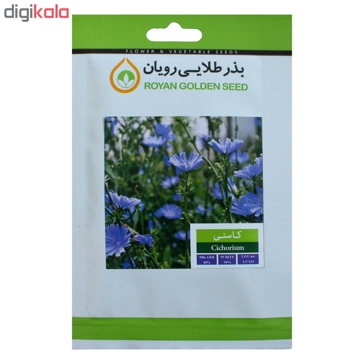 بذر گیاه کاسنی بذر طلایی رویان کد BZT-128