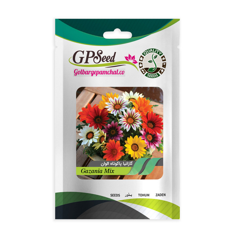 بذر گل گازانیا گلدانی گلبرگ پامچال کد G-P-GP-04 مجموعه 4 عددی