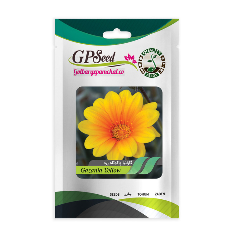 بذر گل گازانیا گلدانی گلبرگ پامچال کد G-P-GP-04 مجموعه 4 عددی