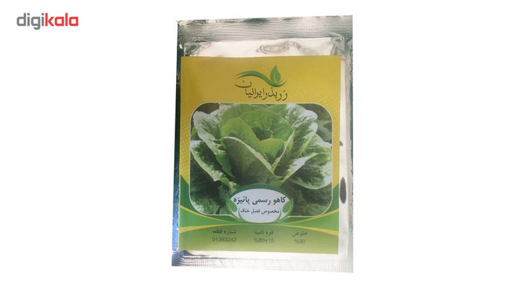بذر کاهو رسمی پائیزه زر بذر ایرانیان مدل P31