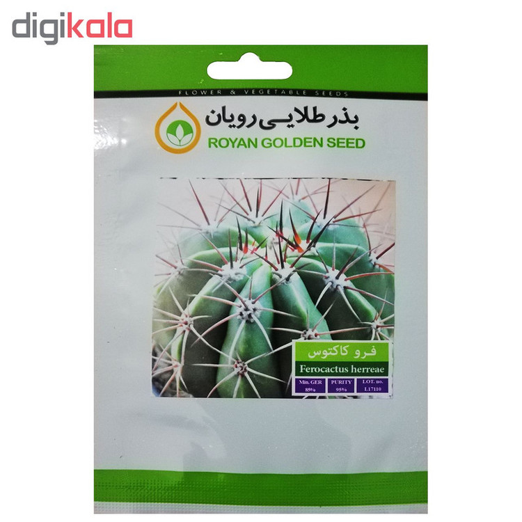 بذر فرو کاکتوس بذر طلایی رویان کد BZT-118