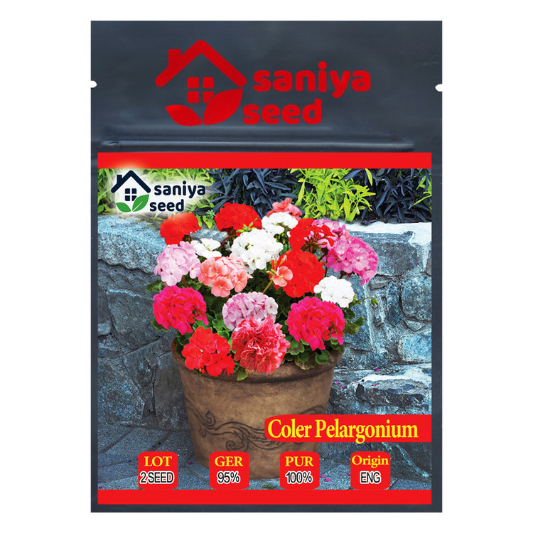 بذر گل شمعدانی الوان سانیا سید مدل SH3
