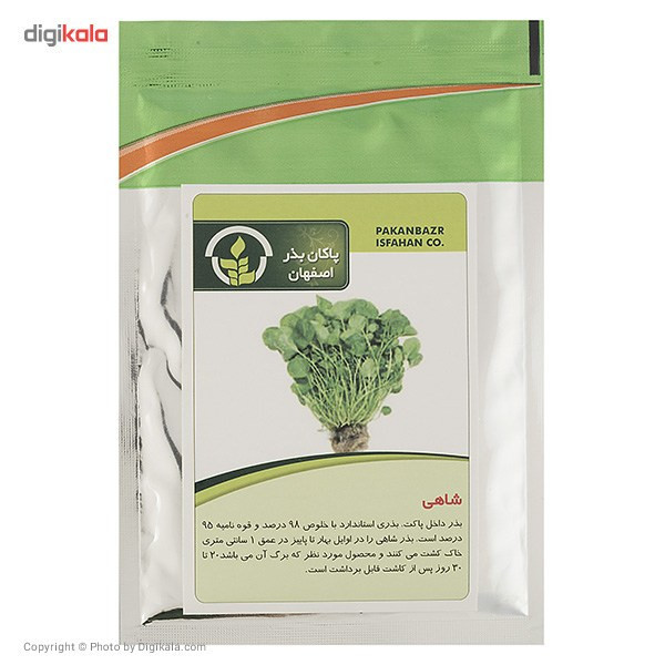 بذر شاهی پاکان بذر