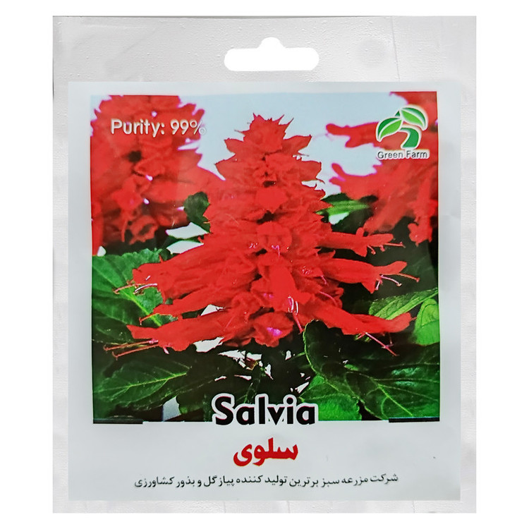 بذر گل سلوی گرین فارم کد GRFS 32 بسته 2 عددی