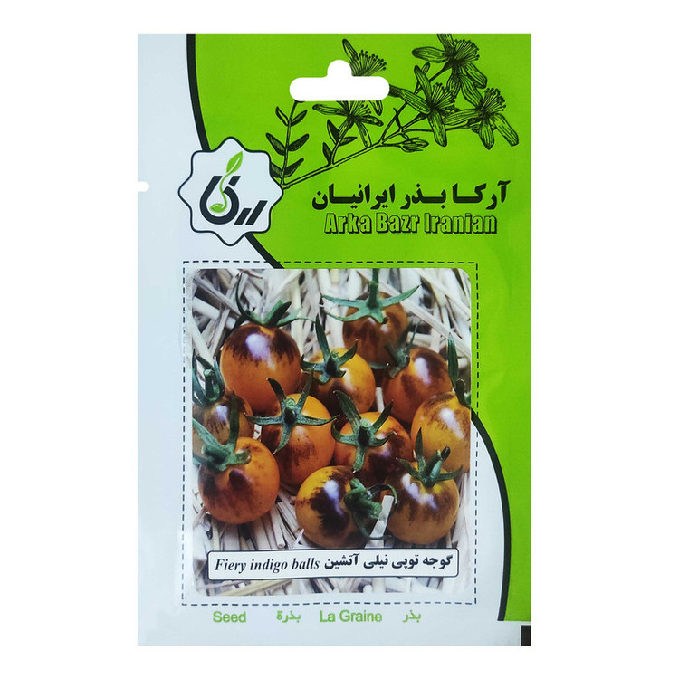 بذر گوجه توپی نیلی آتشین آرکا بذر ایرانیان کد 143-ARK