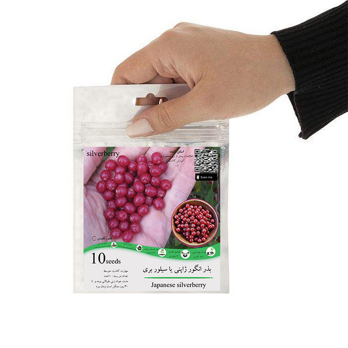 بذر میوه انگور ژاپنی سیلور بری فرنگی گلس گاردن مدل GL10