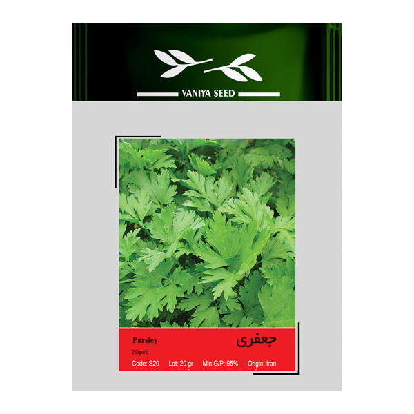 بذر جعفری وانیا سید مدل S20
