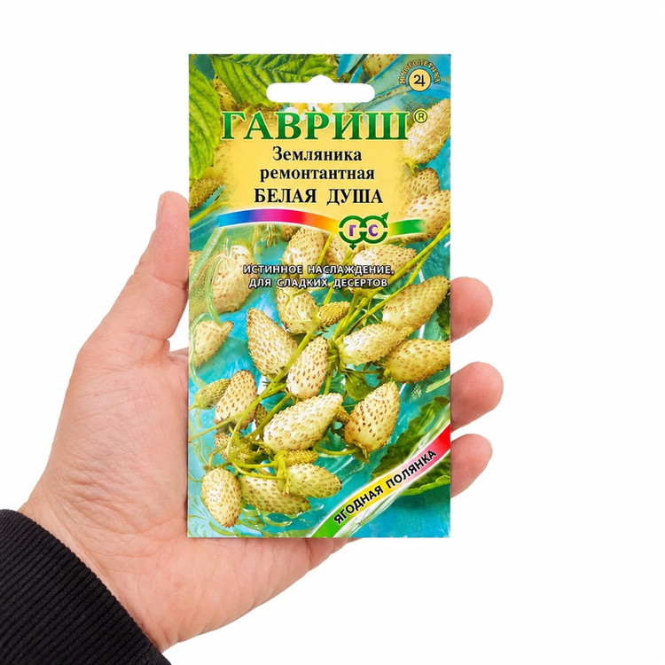 بذر توت فرنگی سفید گاوریش مدل GH_11 وزن 0.03 گرم
