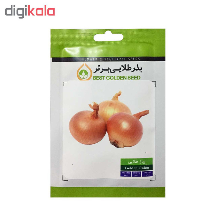 بذر پیاز طلایی بذر طلایی برتر کد BZT-49